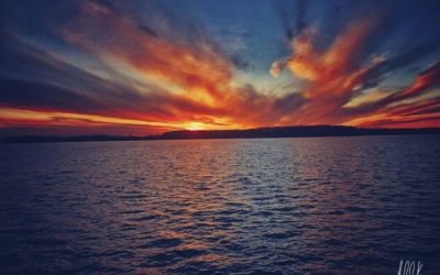 My Journey with Mindfulness, Dr. Pat Rockman and the Centre for Mindfulness Studies